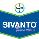 Sivanto Prime SL200 